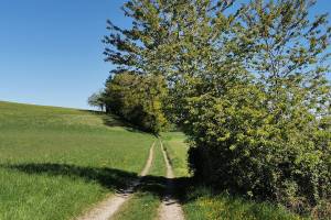 Bei Winikon