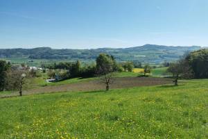 Oberhalb von Reitnau