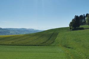 Bei Reitnau