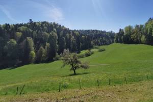Uerke-Tal