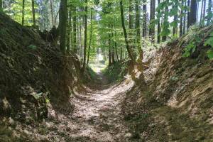 Zwischen Gigger und Rottannhubel