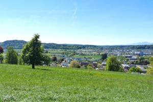 Ausblick vom Heitereplatz nach Zofingen