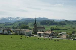 Alterswil