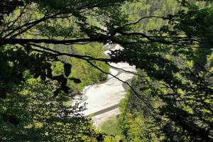 Oberhalb Hergarten, Tiefblick in die Senseschlucht