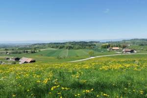 Bei Ober Maggenberg