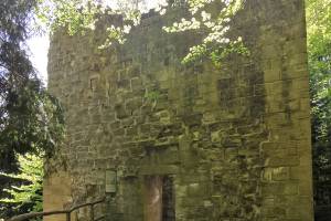 Ruine Ober Maggenberg