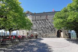Schloss Habsburg, Burghof