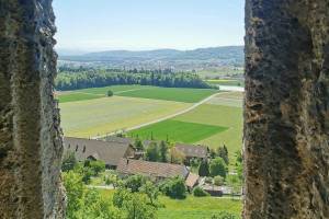 Schloss Habsburg, Blick aus einem Turmfenster Richtung Süden