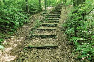 Waldweg zwischen Habsburg und Chärneberg