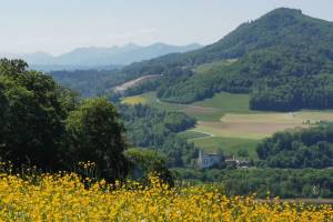 Chärneberg, Aussicht zu Schloss Wildenstein
