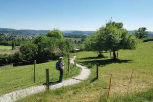 Abstieg von Schloss Wildegg nach Wildegg