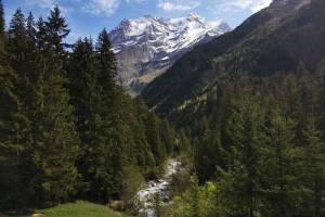 Schiirboden