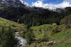 Schiirboden