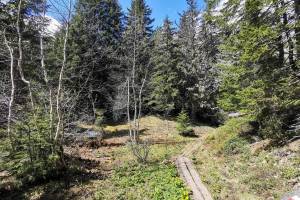 Zwischen Tal und Läger