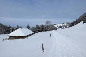Winterwanderung Les Paccots
