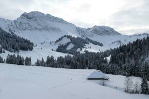 Winterwanderung Les Paccots
