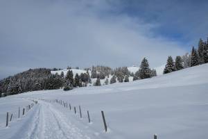 Winterwanderung Les Paccots