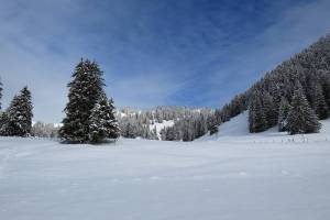 Winterwanderung Les Paccots