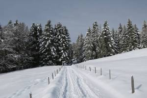 Winterwanderung Les Paccots