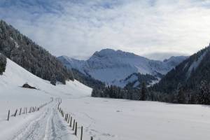 Winterwanderung Les Paccots