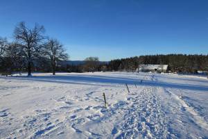 Schneeschuhtour Sommartel - Communal