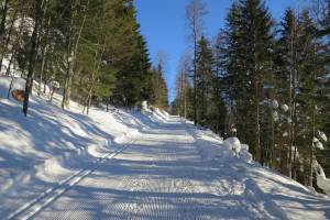Schneeschuhtour Sommartel - Communal
