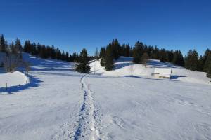 Schneeschuhtour Sommartel - Communal