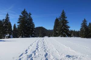 Schneeschuhtour Sommartel - Communal