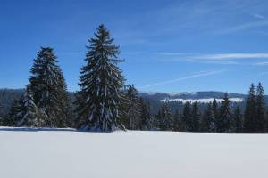 Schneeschuhtour Sommartel - Communal