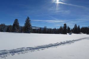 Schneeschuhtour Sommartel - Communal