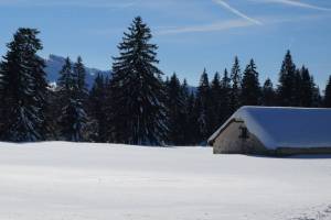 Schneeschuhtour Sommartel - Communal