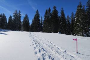 Schneeschuhtour Sommartel - Communal