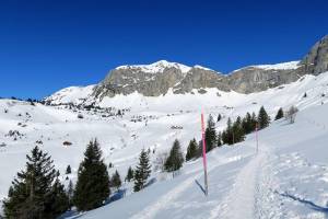 Schneeschuhtour Eggberge - Ratzi