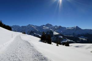 Schneeschuhtour Eggberge - Ratzi