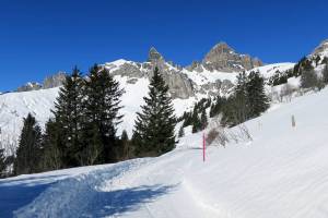 Schneeschuhtour Eggberge - Ratzi