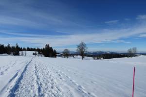 Schneeschuhtour Le Locle - La Chaux-de-Fonds