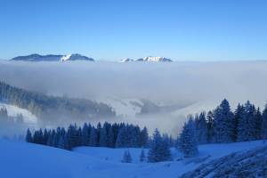 Schneeschuhtour Schwägalp - Kronberg
