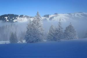Schneeschuhtour Schwägalp - Kronberg