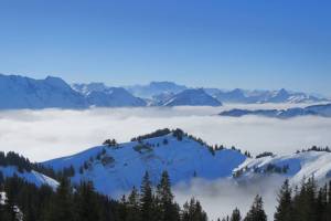 Schneeschuhtour Schwägalp - Kronberg