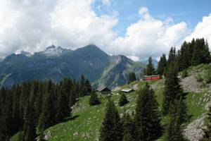 Aufstieg zur Schynige Platte