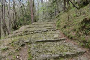 Wanderung Bellinzona - Prada