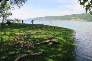 Bielersee