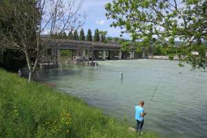 Aare bei Biel