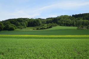 Wanderung Hagneck - Ipsach - Brügg