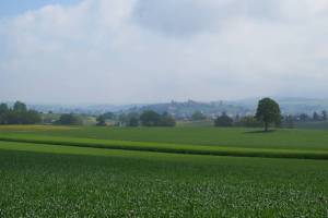 Wanderung Romont - Moudon