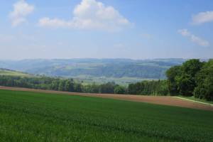 Wanderung Romont - Moudon