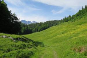 Wanderung Brünig - Lungern - Kaiserstuhl