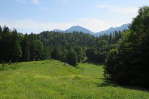 Wanderung Brünig - Lungern - Kaiserstuhl