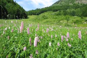 Wanderung Brünig - Lungern - Kaiserstuhl