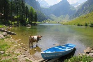 Seealpsee